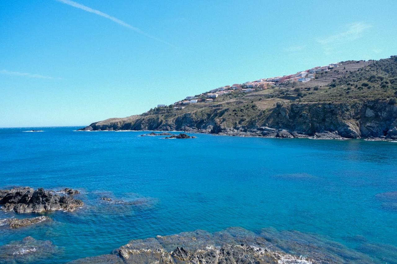 F3 En Bord De Mer Avec Piscine Cerbère Kültér fotó