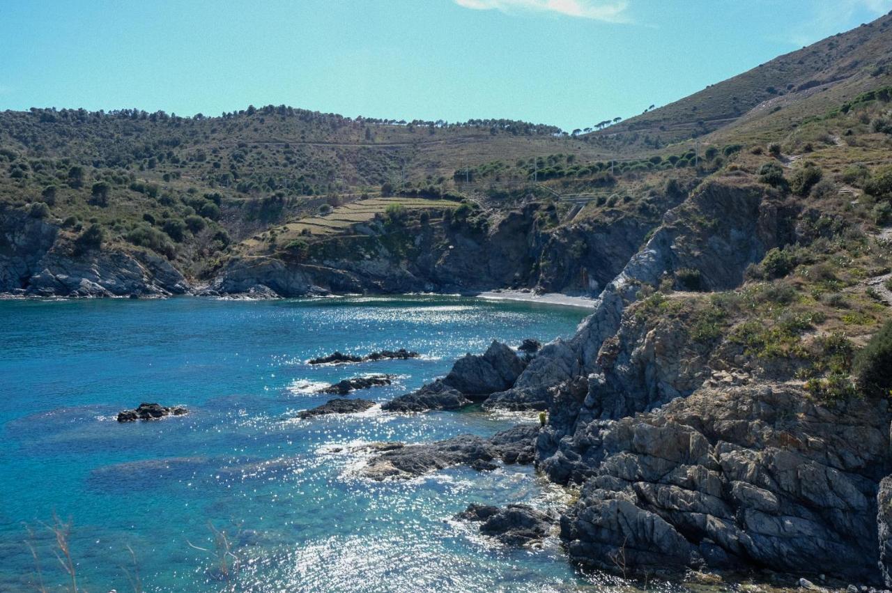 F3 En Bord De Mer Avec Piscine Cerbère Kültér fotó